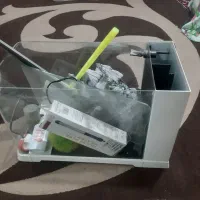 آکواریدم منحنی