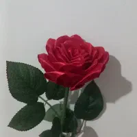 شاخه گل رز قرمز