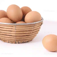 تخم مرغ  و تخم اردک (نطفه دار)|حیوانات مزرعه|لاهیجان, بازکیاگوراب|دیوار