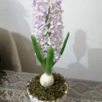 سنبل خمیری|گل مصنوعی|کرمانشاه, |دیوار