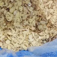 ویزیتور خانم وآقا نیازمندیم