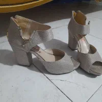 کفش مجلسی نو|کیف، کفش، کمربند|لنگرود, |دیوار