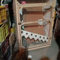 قفس|لوازم جانبی حیوانات|قزوین, |دیوار