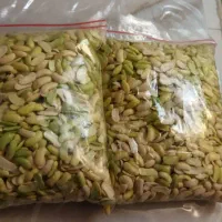 باقالی خورشتی تازه|خوردنی و آشامیدنی|رشت, کوی مهر|دیوار