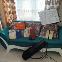 ویولن دست ساز|ویولن|شهریار, شهرک وائین|دیوار