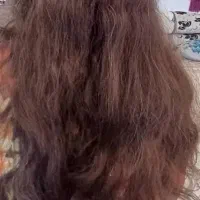 خود را با رقص قبچی پول دار کنید