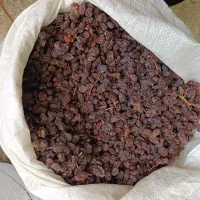 کشمش افتابی درجه یک ارگانیک و طبیعی|خوردنی و آشامیدنی|خرمدره, |دیوار
