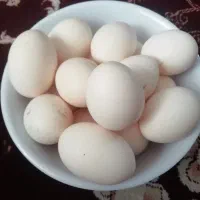 تخم مرغ گلین لری