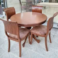 صدفی میزناهارخوری