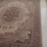 فرش1150شانه|فرش|ارومیه, |دیوار