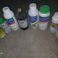 سم کشاورزی|گل و گیاه طبیعی|شوشتر, |دیوار