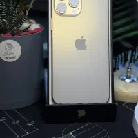 اپل iPhone 13 Pro Max / نقد و اقساط