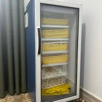 دستگاه جوجه کشی ۲۱۰عددی