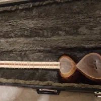 تار هاشمی خوش صدا