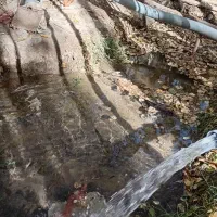 زمین کشاورزی واقع در نوروزآباد|فروش دفتر صنعتی، کشاورزی، تجاری|شاهین دژ, |دیوار