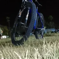 دوچرخ اولود نو