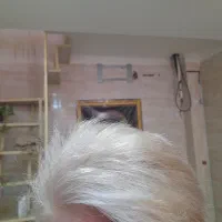 تخفیف خدمات زیبایی شینیون ۲۵۰ت و میکاپ ۲۵۰ت