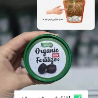 120عددقرص کودارگانیک|گل و گیاه طبیعی|آبیک, |دیوار