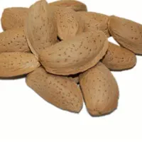 بادام مامایی  ۶۰۰تومان وبادام کاغذی ۹۸۰ هزارتومان