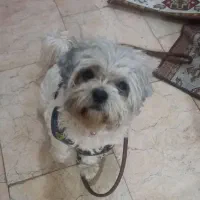 خیلی حرف گوش کن وباادب ۳ساله