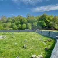 زمین با ویو رویایی جنگل/۴۰۰متری تو دل جنگل/سنددا