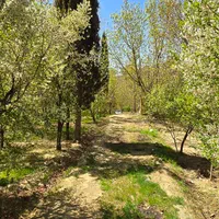 فروش-باغ-ویلا-باغبهادران-باغبادران-باغ-بهادران