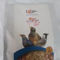 قناری ری