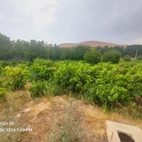 فروش ۲۰۰۰ متر باغ انگوری تنگو(شهرک پردیس)|فروش زمین و ملک کلنگی|شیراز, رکن‌آباد|دیوار