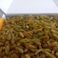 کیفیت رو ببین