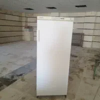 فریزرفیلور پنج کشو