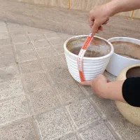 گلدان خالی،زیرگلدانی