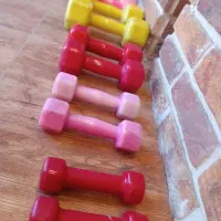 دمبل ورزشی|تجهیزات ورزشی|طرقبه, |دیوار