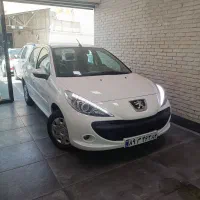 جشنواره نقد و اقساط 207 ، نمایندگی نظریان