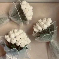 گل عروس|گل مصنوعی|شیراز, میانرود|دیوار