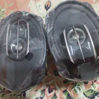 باند پیونر