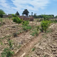 زمین ۳۰۰ متر فیروز بهرام