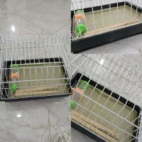 قفس  پت خانگی