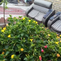 خانه کلنگی|فروش خانه و ویلا|تاکستان, |دیوار