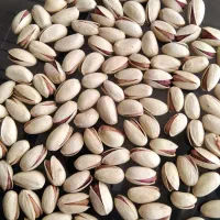 پسته|خوردنی و آشامیدنی|شیراز, آزادی|دیوار