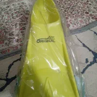 فین
