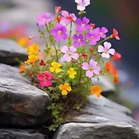 دنبال کار هستم(آقا)