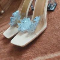 کفش مجلسی|کیف، کفش، کمربند|آستارا, |دیوار