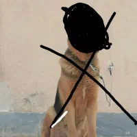 واگذاری سگ ژرمن مالینویز  ماده