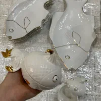 سرویس طرح ماهی