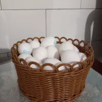 جا قاشقی دو قلو حصیری|ظروف سرو و پذیرایی|همدان, |دیوار