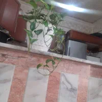 استخدام پرستاری