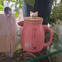 ماگِ سرامیکِ طرح گربه با درب چوبیِ نَشکَن|ظروف سرو و پذیرایی|تهران, مهرآباد|دیوار