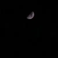 شماره ۰۹۱۹