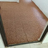 موکت طرح دار