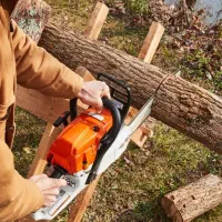 خرید همه نوع درخت و چوب با قیمت بالا،هرس،برشکاری